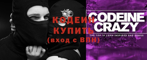 ГАЛЛЮЦИНОГЕННЫЕ ГРИБЫ Аркадак