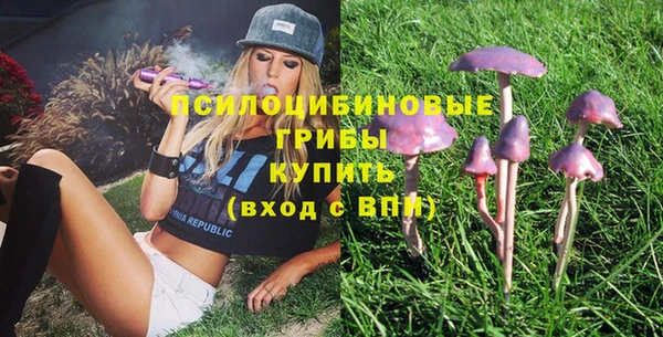 мяу мяу мука Гусь-Хрустальный