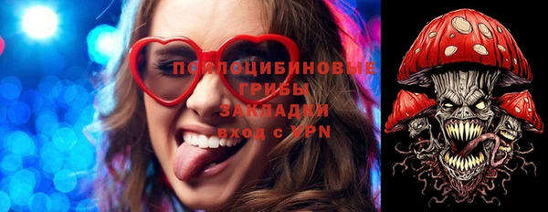 ГАЛЛЮЦИНОГЕННЫЕ ГРИБЫ Аркадак